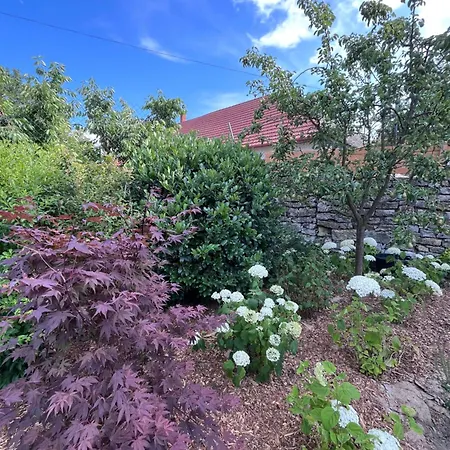 Ko-villa *